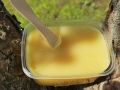 Садовый вар: секреты древних мастеров для ухода за фруктовыми деревьями