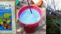 ����� � ����: ��� ����������� �������� � ���� � �������� ���������������� ������