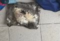 32-летняя ижевчанка подозревается в незаконном обороте наркотиков в особо крупном размере