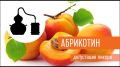 Фруктовый ликер «Абрикотин»: сладкий вкус лета
