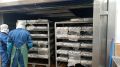 Современный дефростер для рыбы: новые горизонты в рыбной промышленности