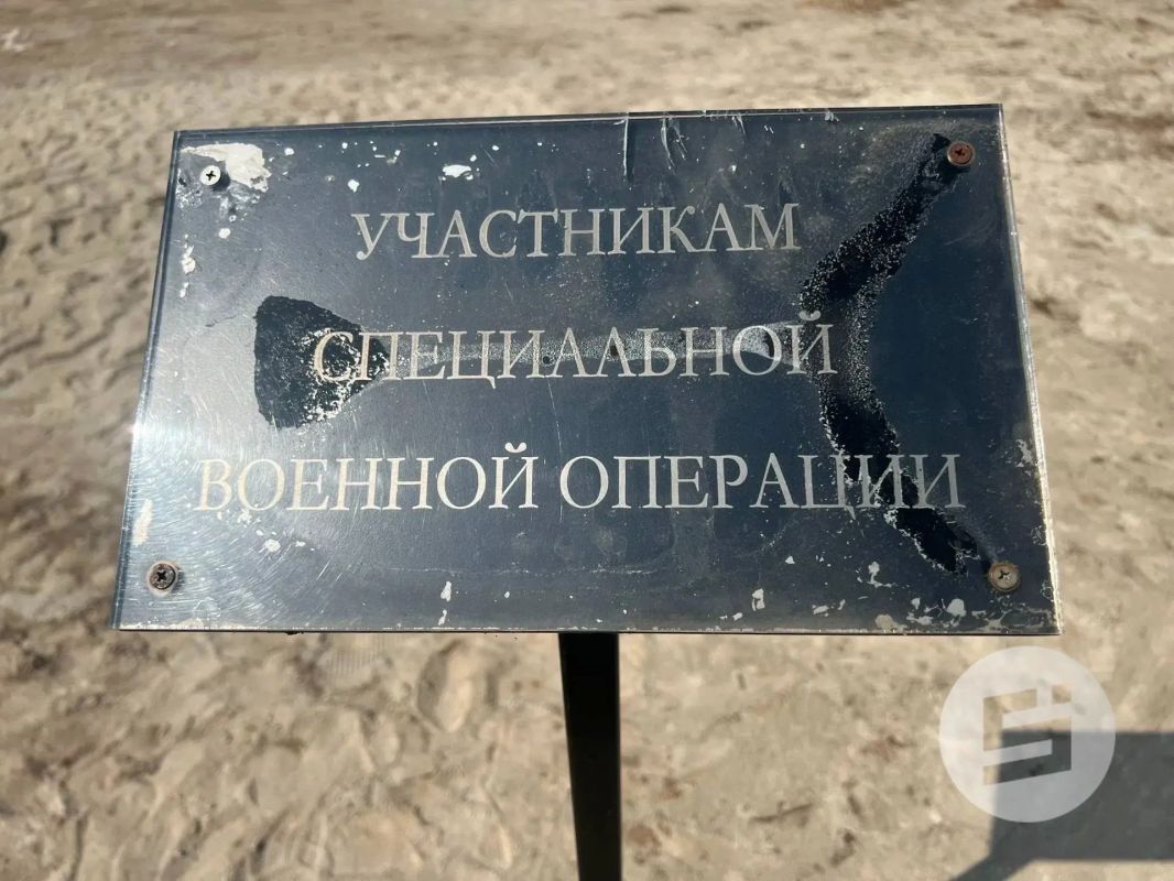 Стела памяти ветеранов СВО и крытые павильоны появятся в парке «Патриот» Стела памяти ветеранов СВО и крытые павильоны появятся в парке «Патриот»