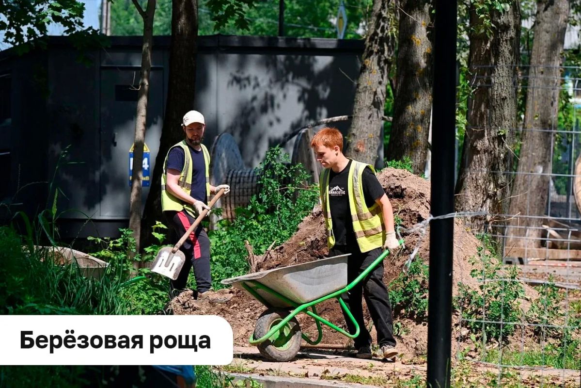 Александр Бречалов: +25 вечерами – время гулять Александр Бречалов: +25 вечерами – время гулять