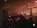 На ферме в Юкаменском районе Удмуртии сгорели 15 коров