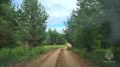 В Удмуртии спасли четверых заблудившихся грибников