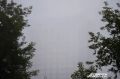 Жителей Удмуртии предупреждают о густом тумане 11 сентября
