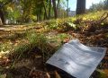 Тарифы за ЖКУ вырастут в Удмуртии с 1 октября