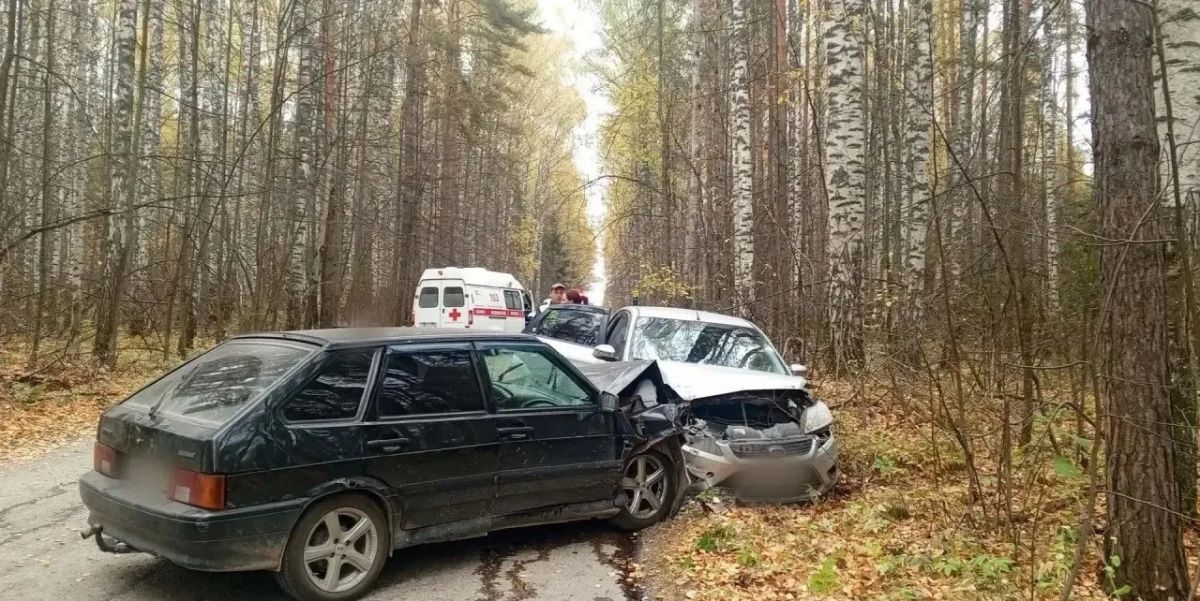 Женщина выпила около литра водки, села за руль и устроила ДТП в Удмуртии Женщина выпила около литра водки, села за руль и устроила ДТП в Удмуртии