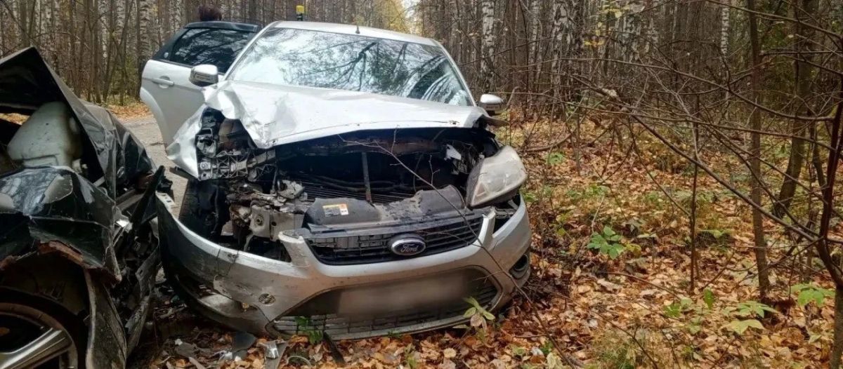 Женщина выпила литр водки, села за руль и попала в ДТП в Удмуртии Женщина выпила литр водки, села за руль и попала в ДТП в Удмуртии