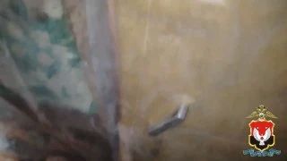 Уголовное дело двух жителей Ижевска и жительницы Казани о создании нарколаборатории в одной из удмуртских деревень направили в суд