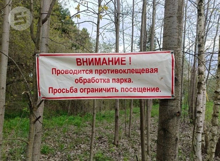 В 2026 году количество укушенных клещами жителей Удмуртии сократилось в 1,6 раза