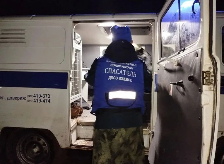 Добровольцы спасли пожилого мужчину, который потерялся в Завьяловском районе