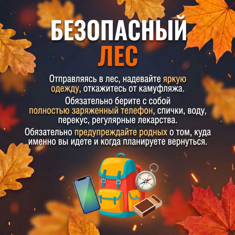Осень — красивое время года, но вместе с похолоданием приходят и сезонные риски Осень — красивое время года, но вместе с похолоданием приходят и сезонные риски