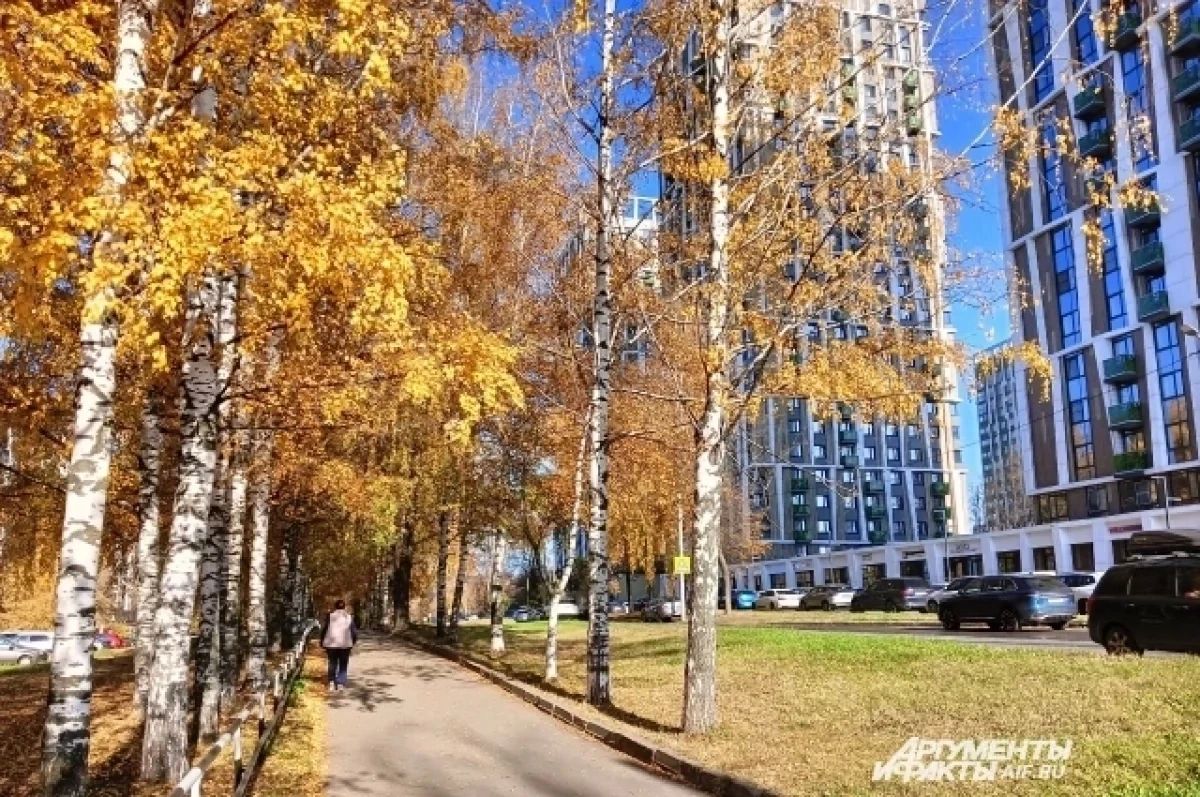 В Удмуртии на предстоящих выходных потеплеет до +19°С