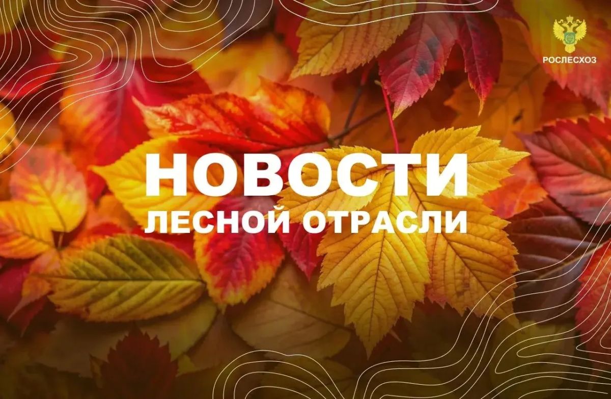 AK&M: Рослесхоз отменил 3 приказа Министерства лесного, охотничьего хозяйства и природопользования Республики Мордовия