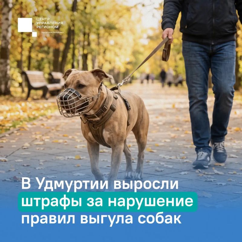 25 октября 2026 года в республике вступил в силу закон, ужесточающий ответственность за нарушение правил содержания и выгула собак