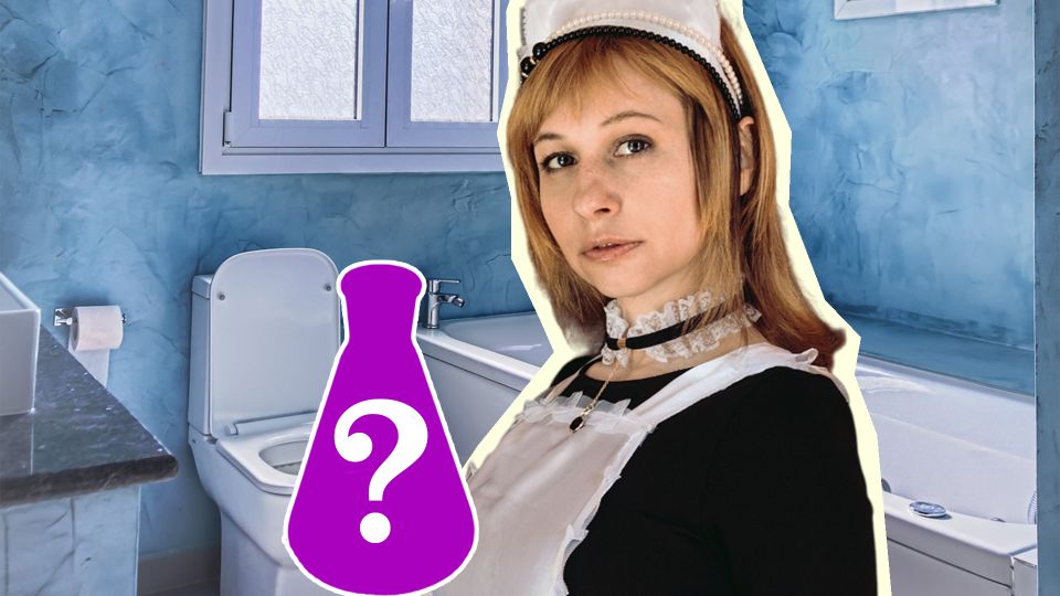 О «душке» в туалете забудете навсегда: поможет хитрость французских хозяек