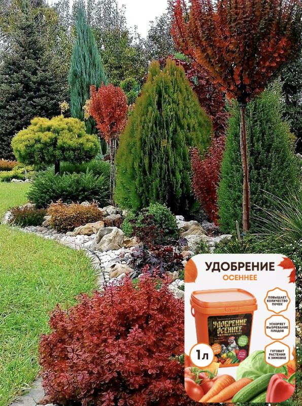 Осенняя подкормка: как помочь растениям подготовиться к зиме с удобрениями от Цыпы Зерноклюевой