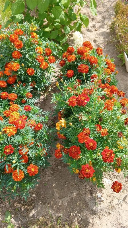 ��� �������� ��������� ������� ������ � ��������� ������ ����� ���� � ��������