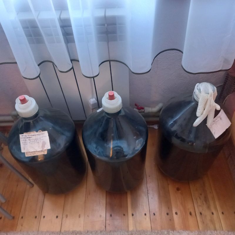 ��� ��������� ���� ��������� ������������ ����: 5 ����������� ��������