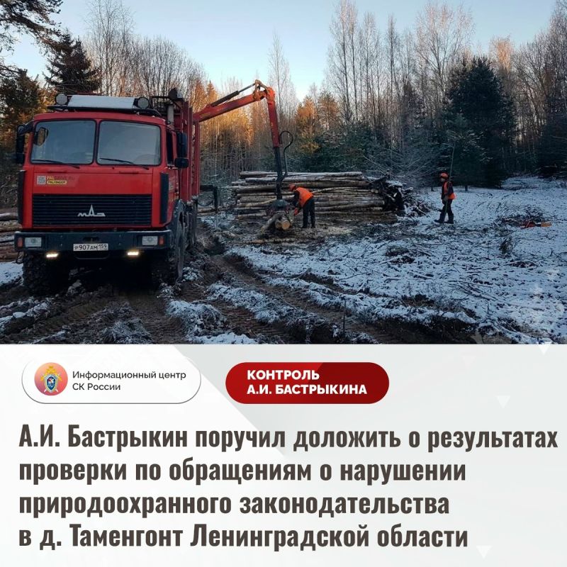 ������� ��� ���������: �������� ��� ������� � ������������� �������