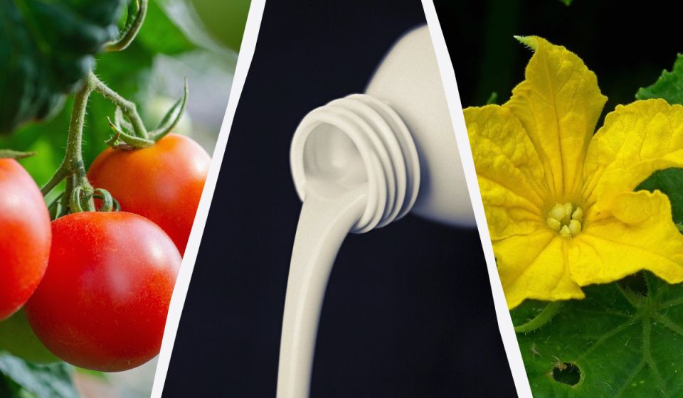 ����� ��� ������ ��������� ������: ����������� ������������ ��� ����� ��������