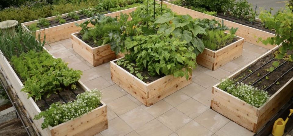 ����� ������� ������: ��� ��������� ������ ��� ������ ������