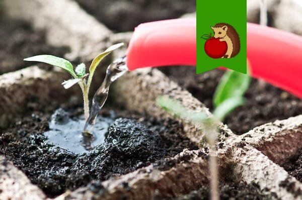 ��������� ��������� ��� �������: ������� ��������� �����