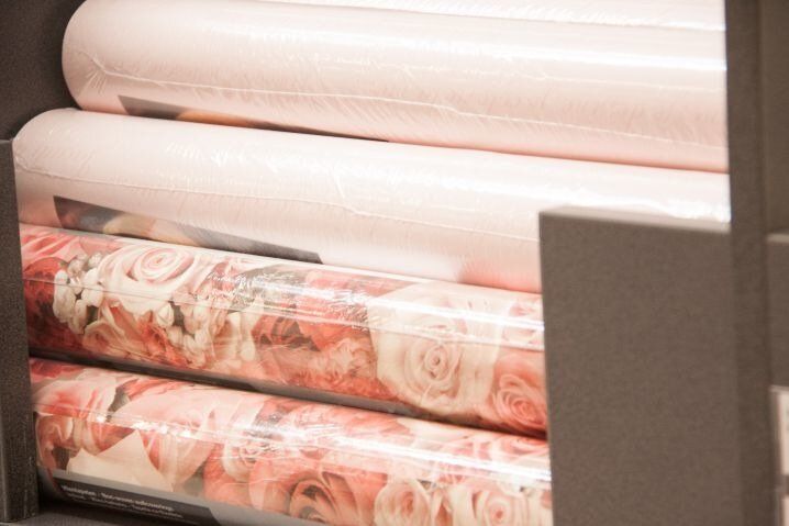 ��� ����� � ������ ����� ������ �������� ���� �� ����: ��������� � �������