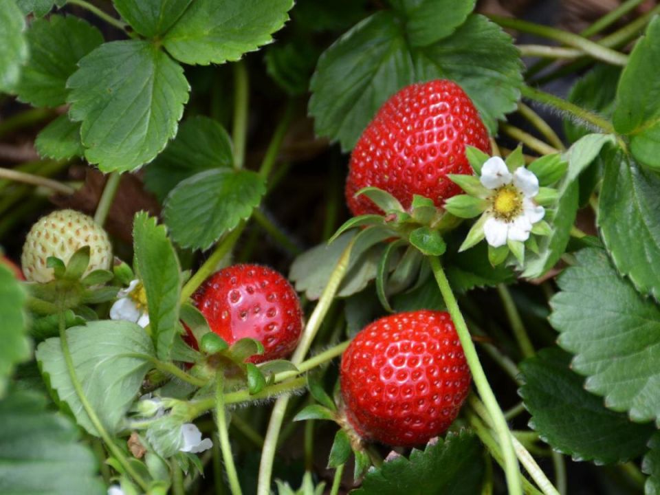 �������� �����: ������ � �������� � ��������� ���� �� ������