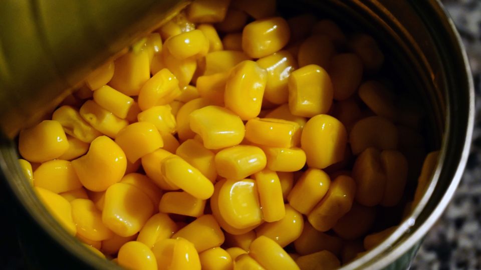 �� ������� ������� �������� ��-��� ���������������� ��������: ����������� �� ��� ����������