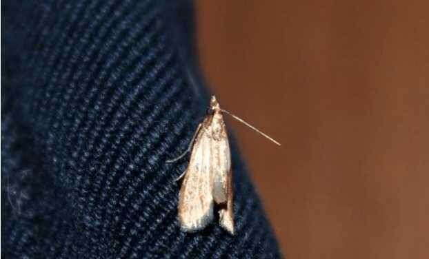 ��� �������� �������� �� ����������: ������� ������������� ��������� �����