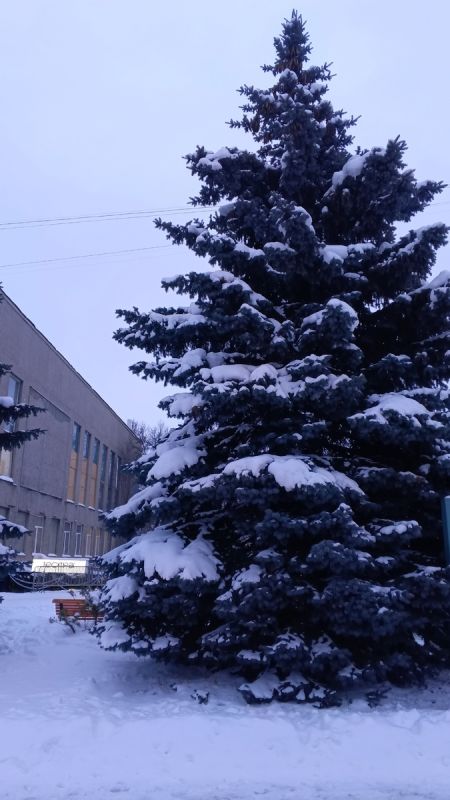 Лекарства на вес золота: почему пациенты сталкиваются с дефицитом