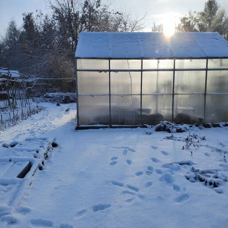 ��� �������� ������� �����: ����������� ������ ��� ���������� ��������