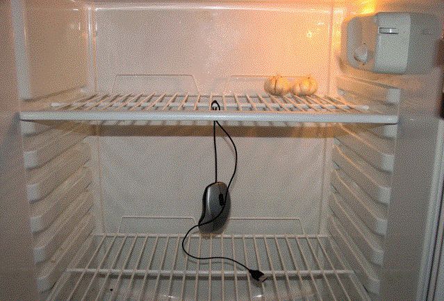 ��� ��������� ����������� � ������� �����: ������ ��������