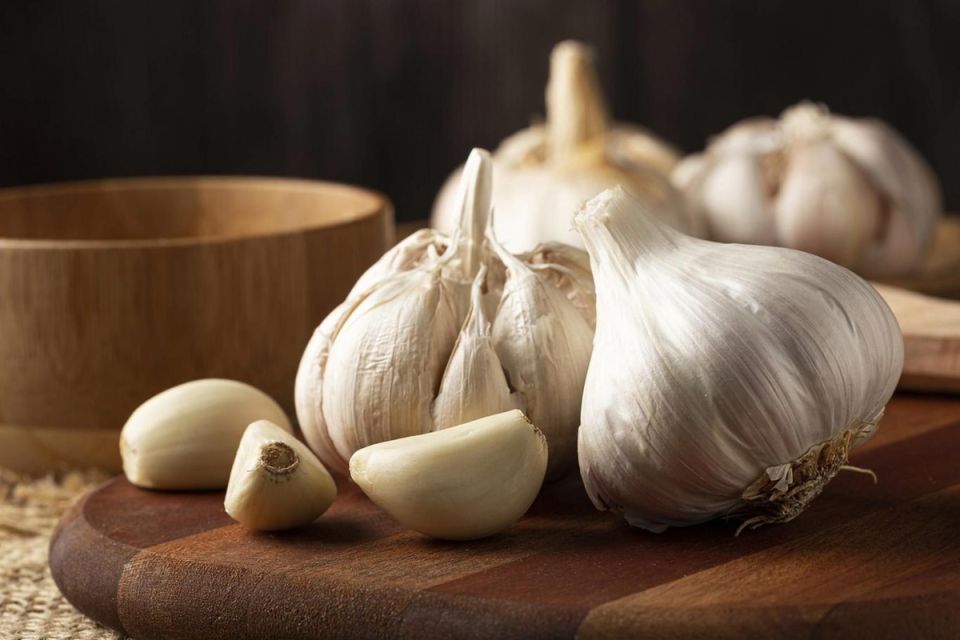 ������ ������ ������ ����� ����� ���������� ���������