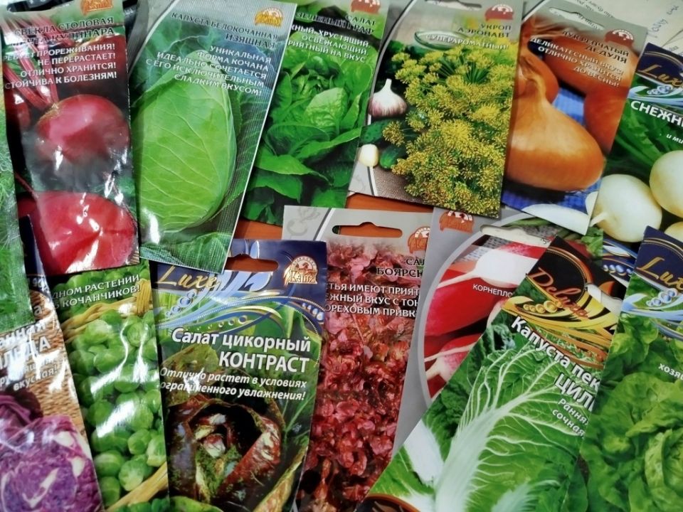 Подзимний посев: что и как сажать для раннего урожая