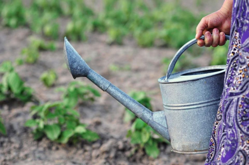 ������������ �����: ��� ��������� ���������� � ���� � ������� � ������ �����