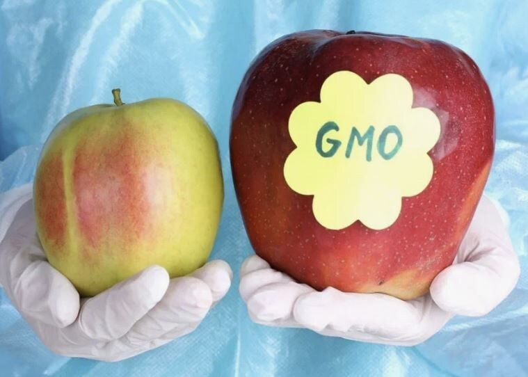 ������� F1: ���� � ���������� � ���