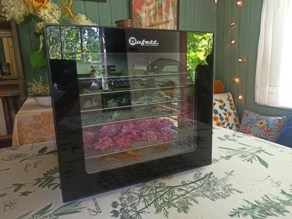 Ароматный чай на зиму: как сушить травы и ягоды с помощью дегидратора Bufett