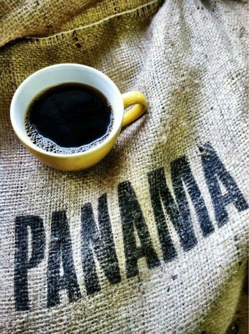 Кофе из Панамы: как выбрать лучший сорт и что делает арабику уникальной