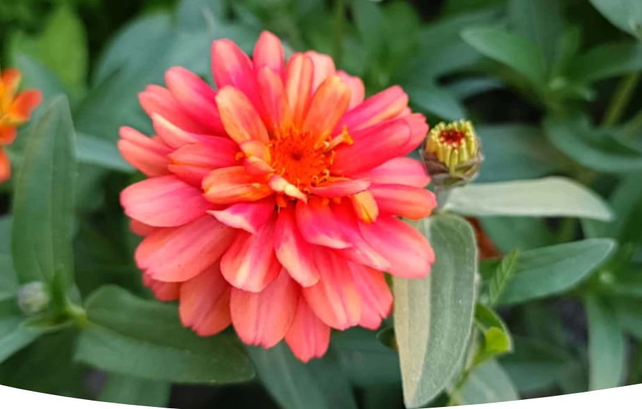 �����: ������� ������� � ����� ��� ������ ��������