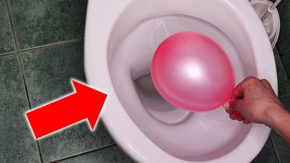 ��������� ��������: ��� ��������� ����� ������� ������ ������ � ��������� �����