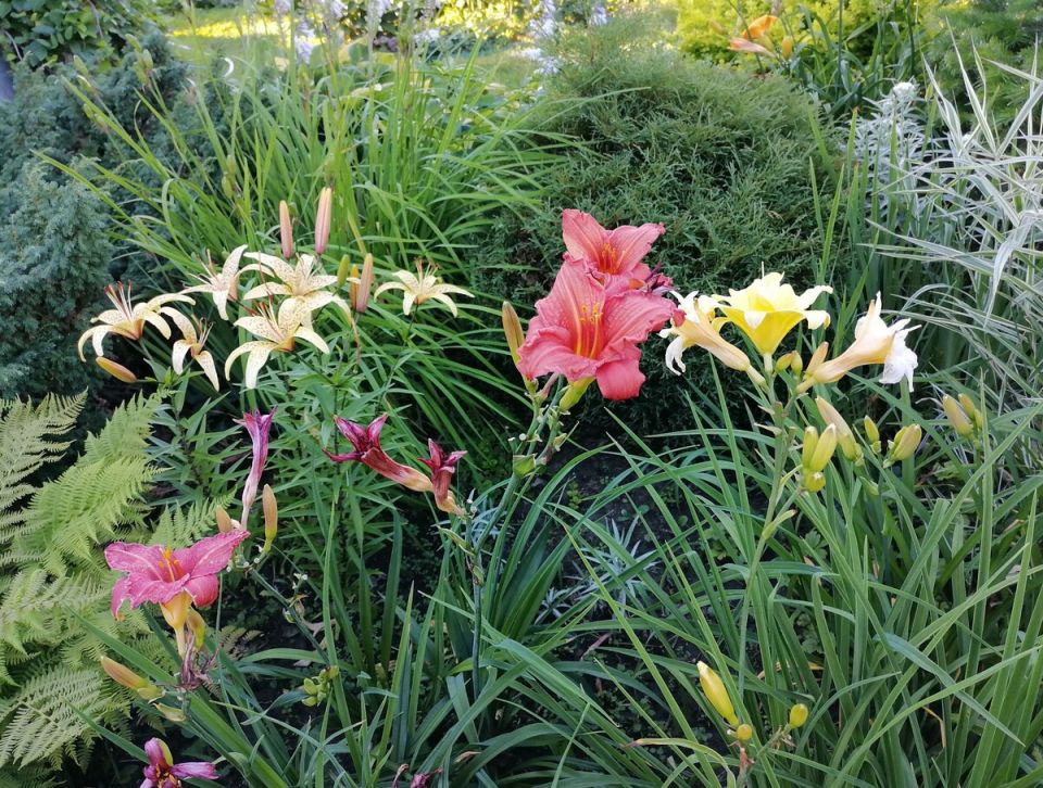 ��� ��������� ������������ ������������ ������ � ������