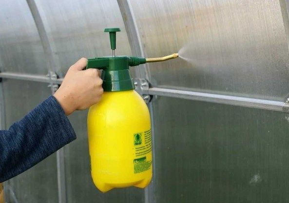 ������������� ��������� ������: ������� ��������� ������