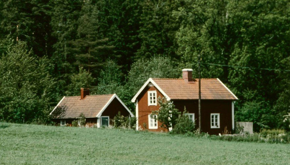 ����������� ������: ��� �������� ���� ����� �� ��������� �������