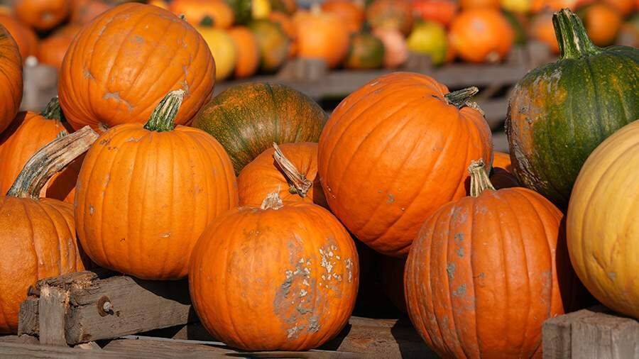 ������� ������ � �������� ����� � ������� �����