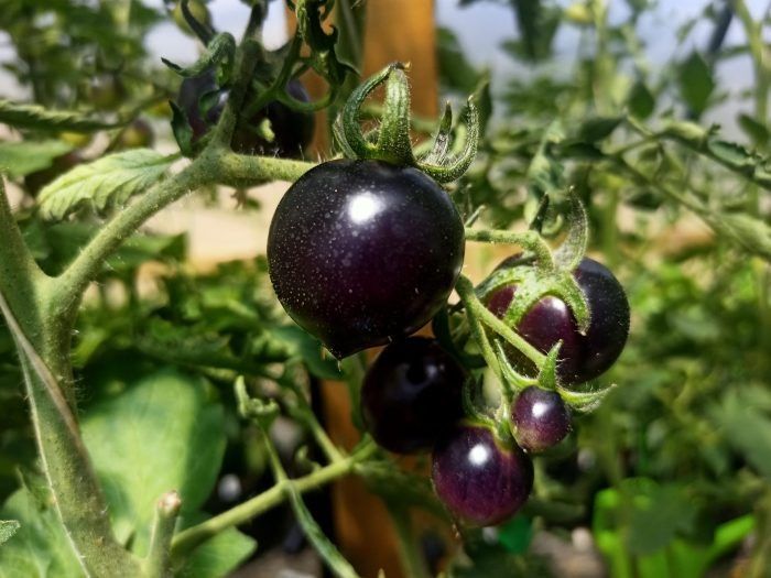 ����� ����� �� ��������: ����������� ��������� ����� � �����