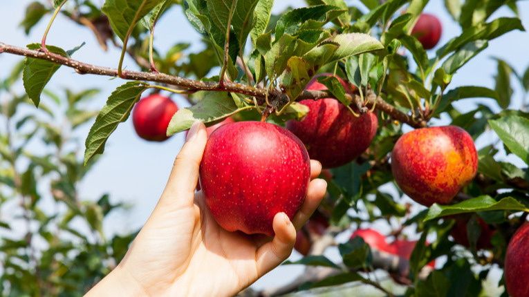 ������� ������� ��������� ��� ��������� ������������� ������ �����