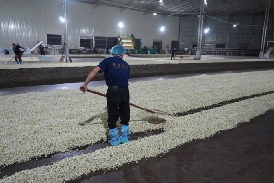 ���������� ��� � �����: �������� � ����� ���������